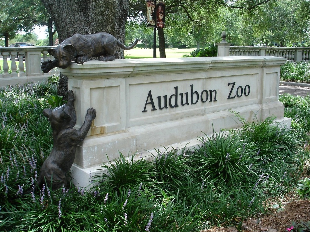 Audubon Zoo Magazine Street